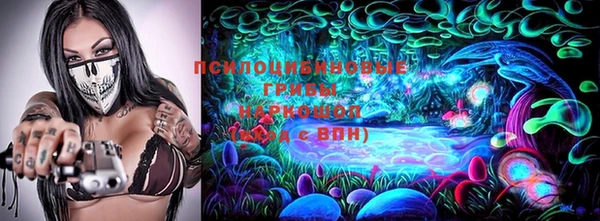 бошки Алексин
