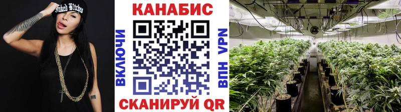 Канабис сатива  магазин продажи наркотиков  Алексин 